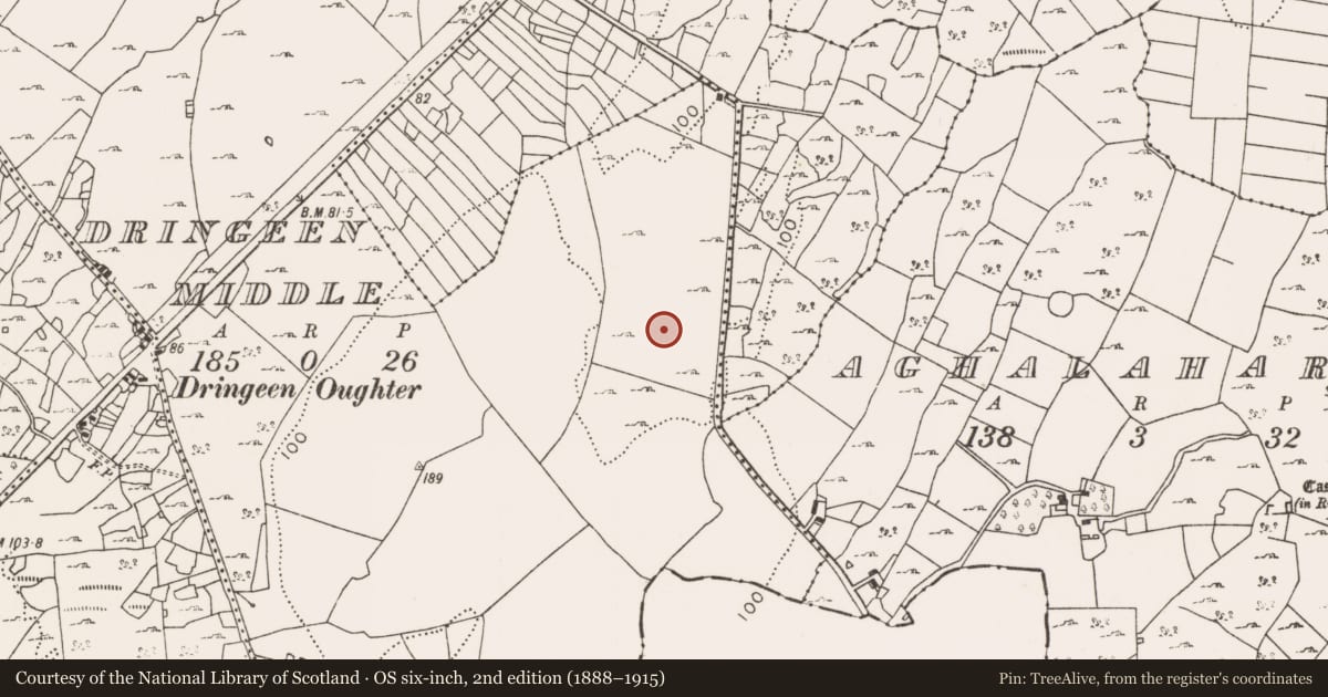 Ordnance Survey six-inch map, 2nd edition (1888–1915) covering the location of Standing stone, Dringeen Middle, County Mayo, with a pin at the register's coordinates