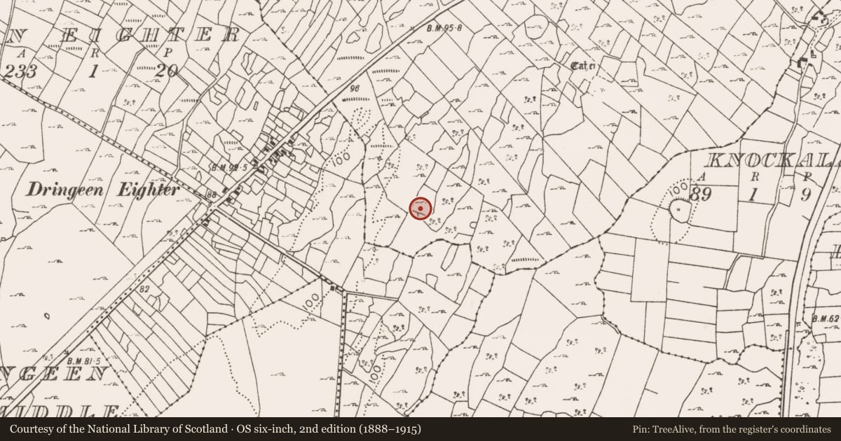 Ordnance Survey six-inch map, 2nd edition (1888–1915) covering the location of Megalithic tomb - court tomb, Killimor, County Mayo, with a pin at the register's coordinates
