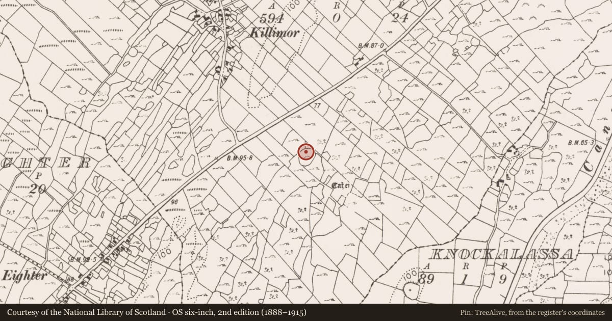 Ordnance Survey six-inch map, 2nd edition (1888–1915) covering the location of Ringfort - cashel, Killimor, County Mayo, with a pin at the register's coordinates