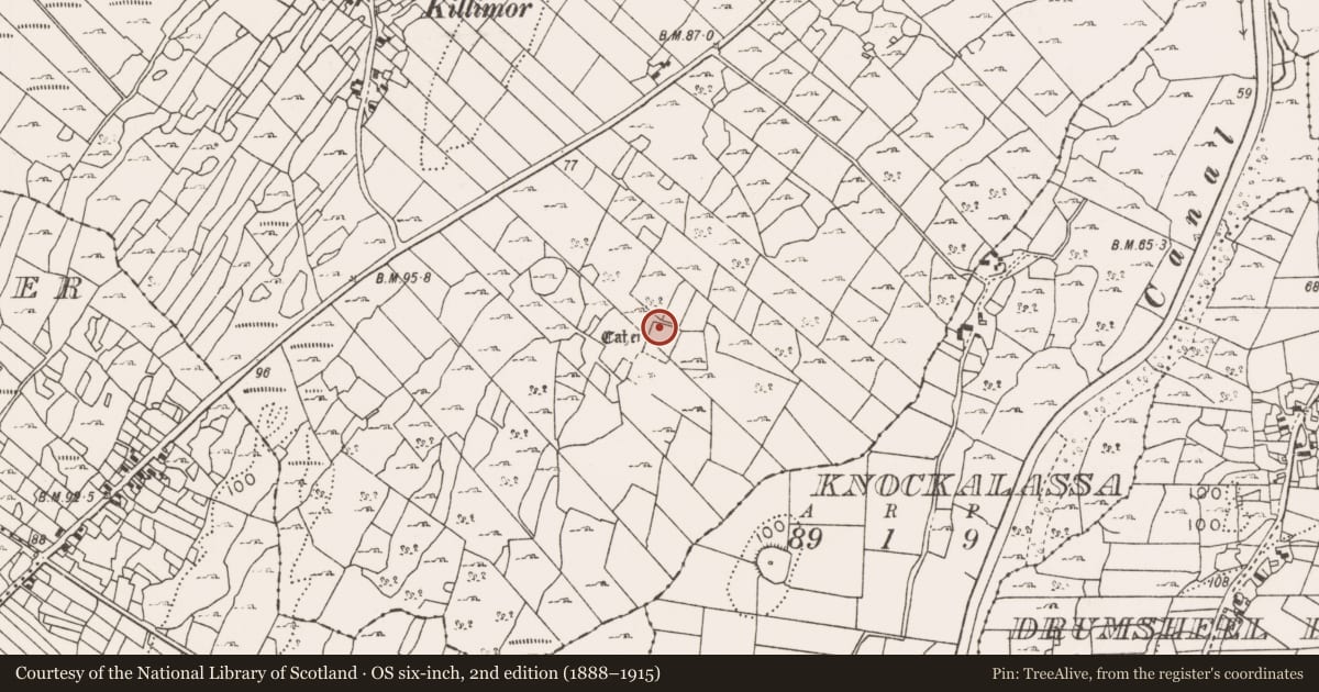 Ordnance Survey six-inch map, 2nd edition (1888–1915) covering the location of Ringfort - cashel, Killimor, County Mayo, with a pin at the register's coordinates