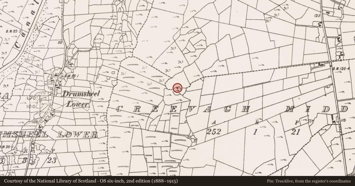 Ordnance Survey six-inch map, 2nd edition (1888–1915) covering the location of Ringfort - cashel, County Mayo, with a pin at the register's coordinates