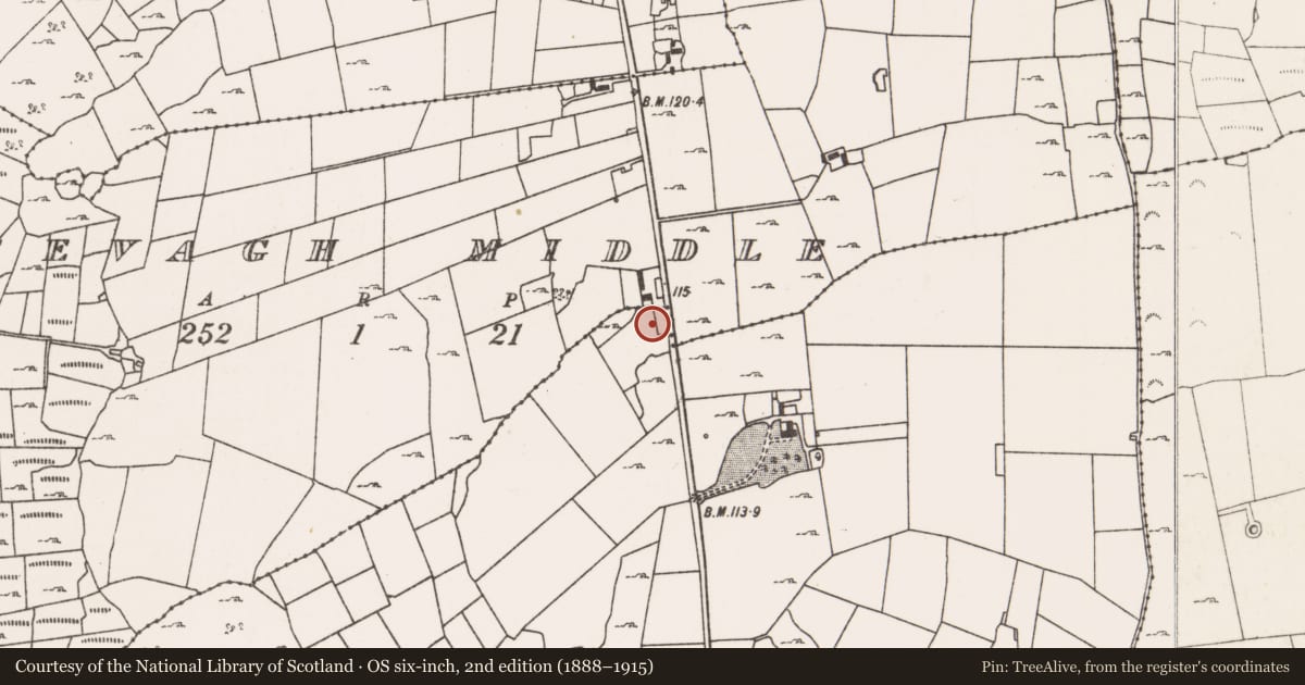 Ordnance Survey six-inch map, 2nd edition (1888–1915) covering the location of Enclosure, Creevagh South (Kilmaine By., Cong Par.), County Mayo, with a pin at the register's coordinates