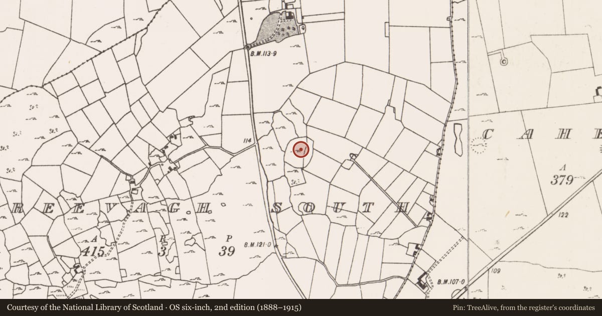 Ordnance Survey six-inch map, 2nd edition (1888–1915) covering the location of Enclosure, Creevagh South (Kilmaine By., Cong Par.), County Mayo, with a pin at the register's coordinates