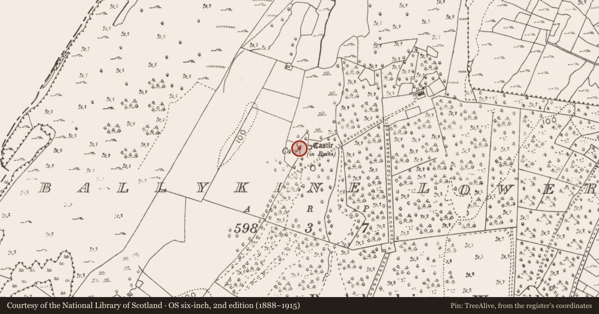 Ordnance Survey six-inch map, 2nd edition (1888–1915) covering the location of Ringfort - cashel, Ballykine Lower, County Mayo, with a pin at the register's coordinates