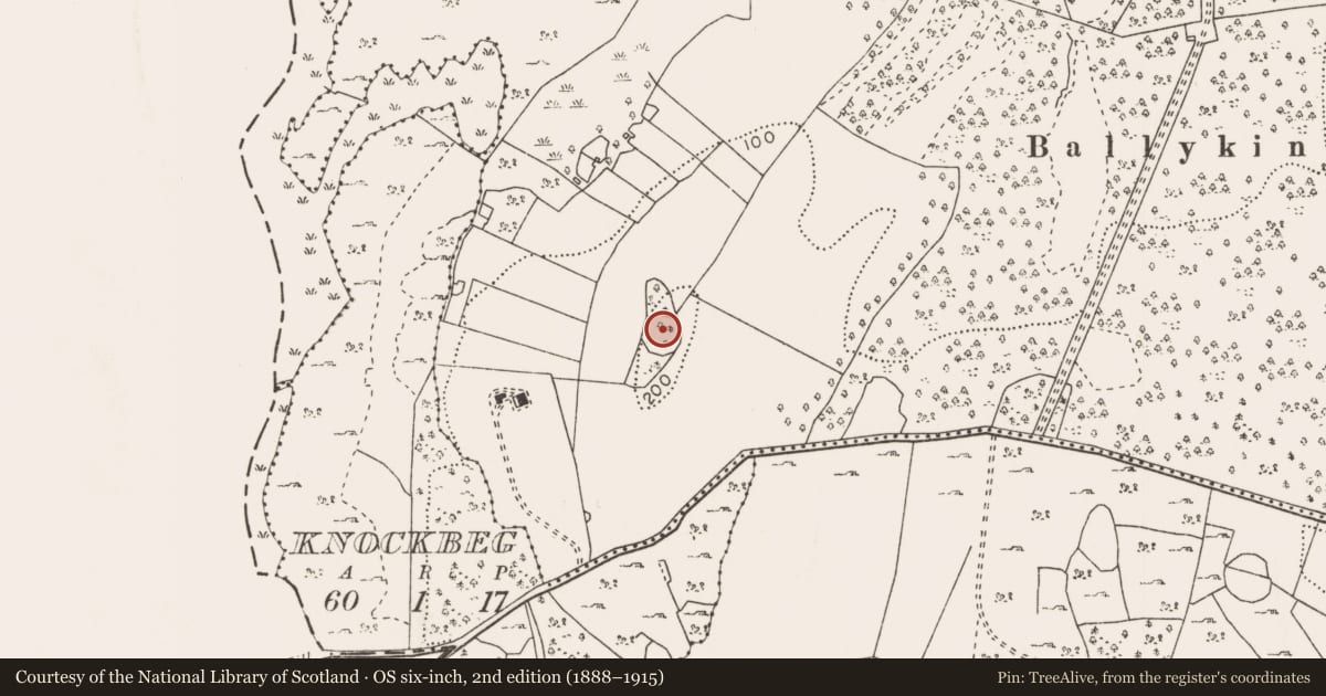 Ordnance Survey six-inch map, 2nd edition (1888–1915) covering the location of Ringfort - rath, Ballykine Lower, County Mayo, with a pin at the register's coordinates