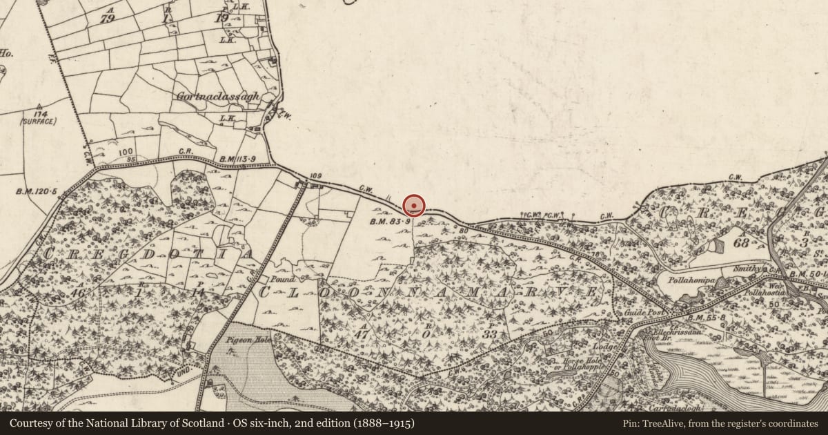 Ordnance Survey six-inch map, 2nd edition (1888–1915) covering the location of Leacht cuimhne, Cregaree, County Mayo, with a pin at the register's coordinates