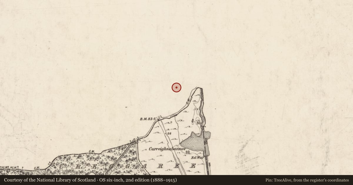 Ordnance Survey six-inch map, 2nd edition (1888–1915) covering the location of Ringfort - cashel, Drumsheel Upper, County Mayo, with a pin at the register's coordinates