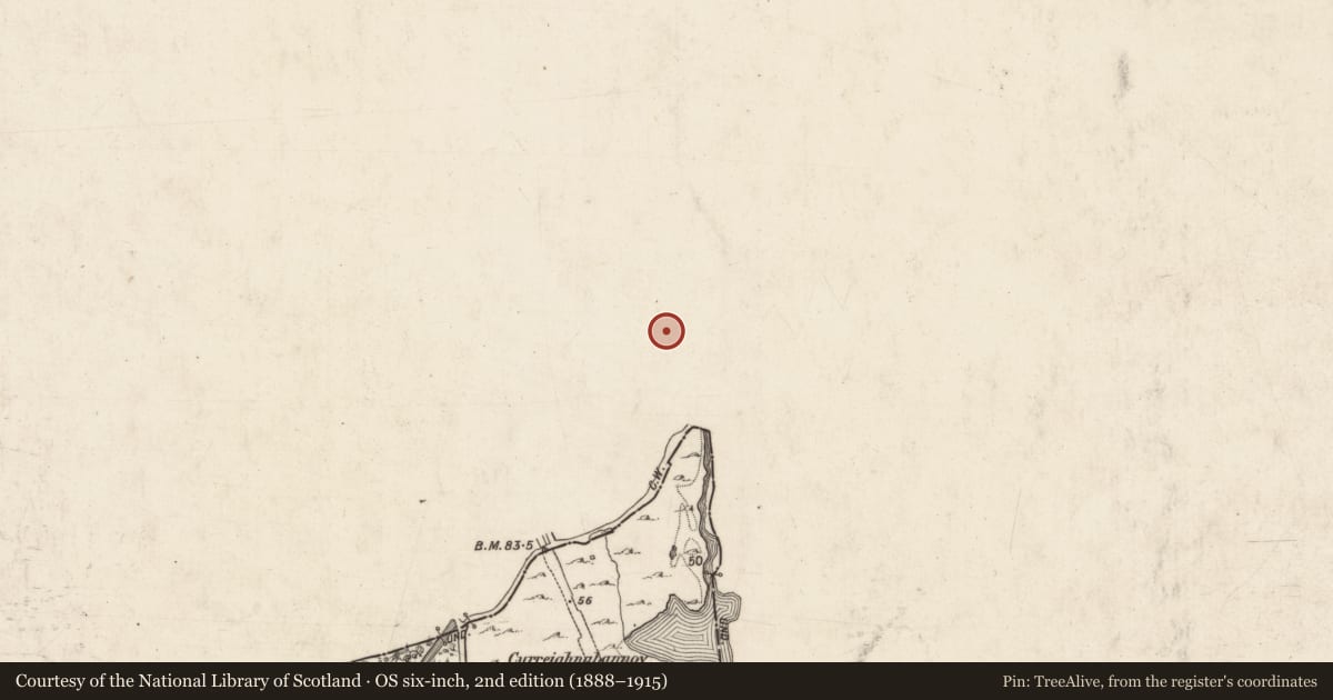 Ordnance Survey six-inch map, 2nd edition (1888–1915) covering the location of Inscribed stone, Drumsheel Upper, County Mayo, with a pin at the register's coordinates