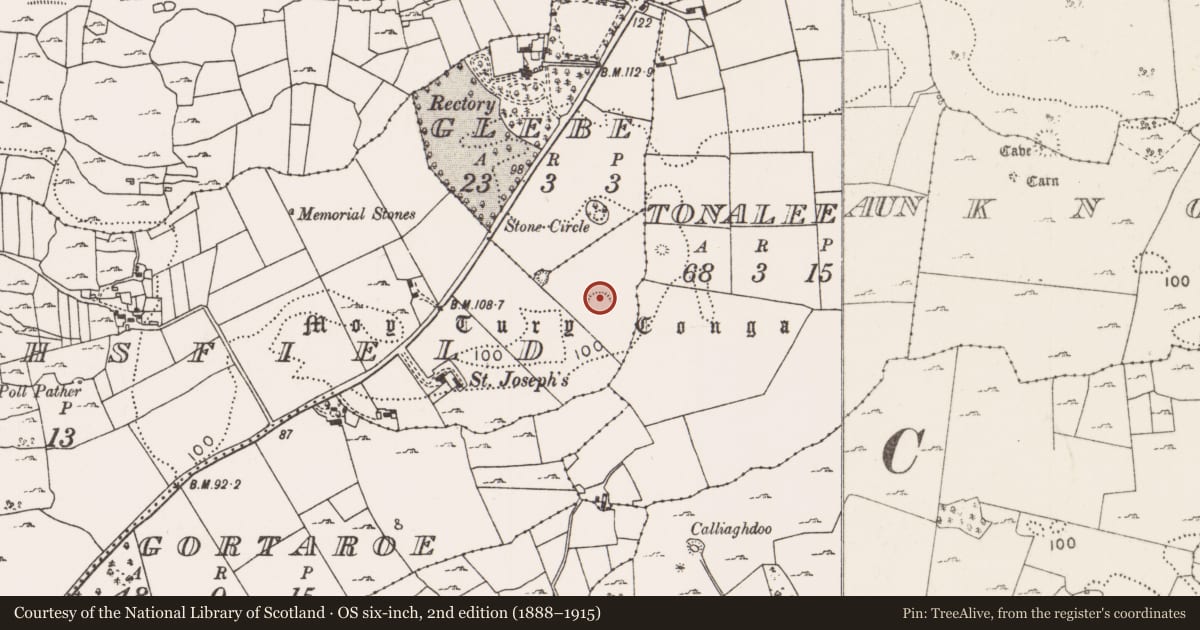 Ordnance Survey six-inch map, 2nd edition (1888–1915) covering the location of Stone circle, Nymphsfield, County Mayo, with a pin at the register's coordinates