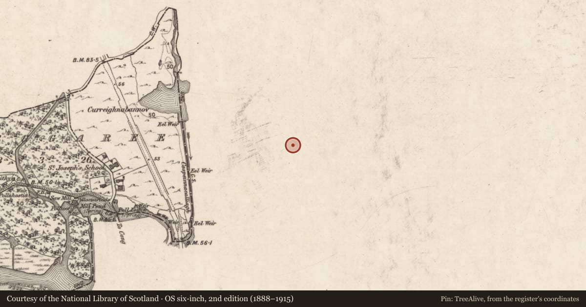 Ordnance Survey six-inch map, 2nd edition (1888–1915) covering the location of Cave, Nymphsfield, County Mayo, with a pin at the register's coordinates