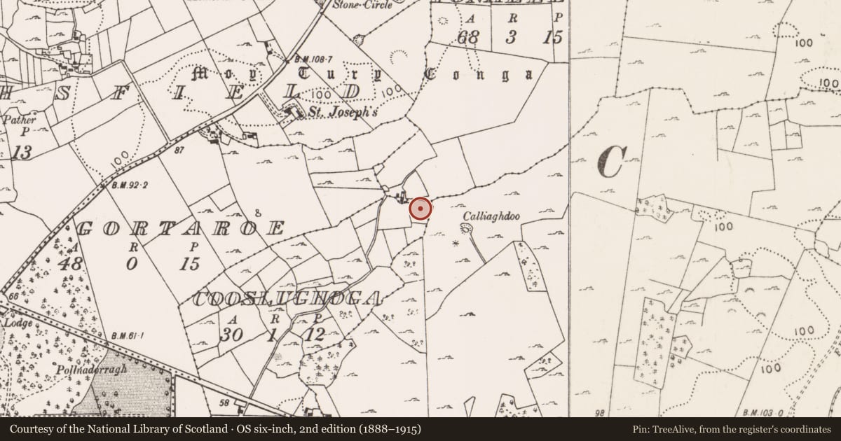 Ordnance Survey six-inch map, 2nd edition (1888–1915) covering the location of Enclosure, Cooslughoga, County Mayo, with a pin at the register's coordinates