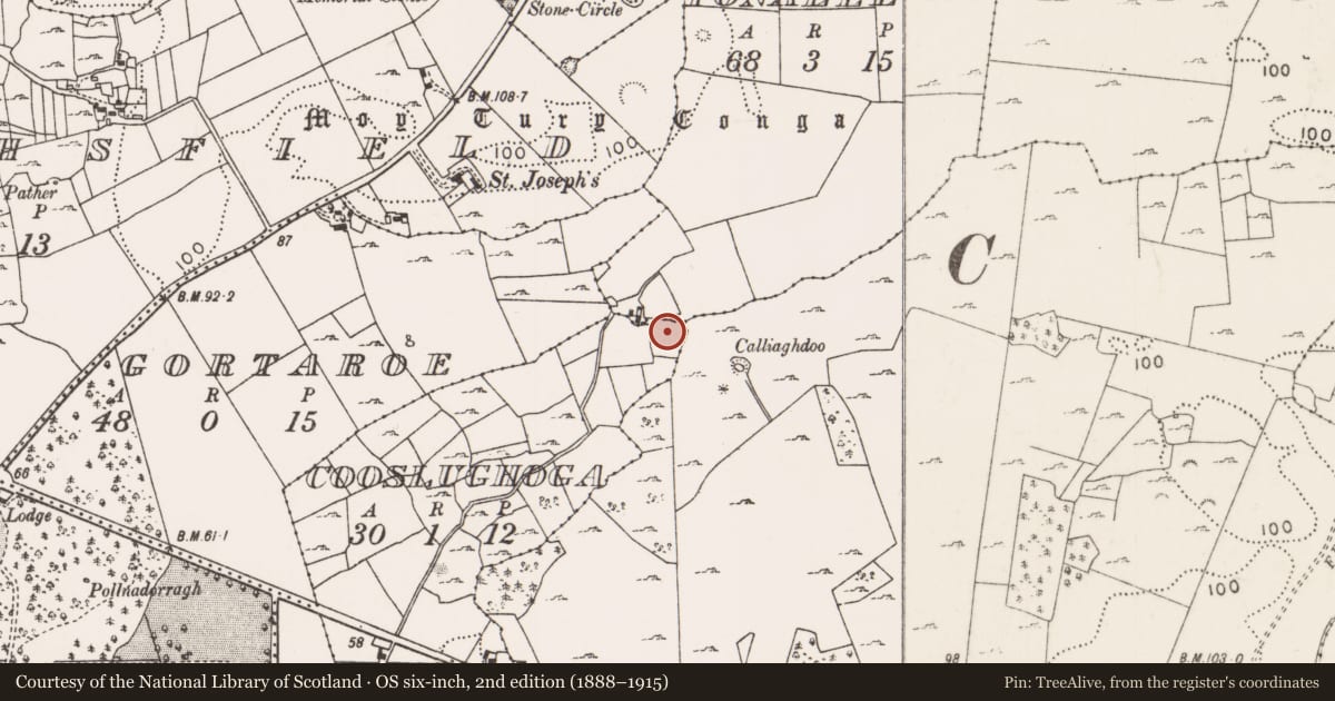 Ordnance Survey six-inch map, 2nd edition (1888–1915) covering the location of Souterrain, Cooslughoga, County Mayo, with a pin at the register's coordinates