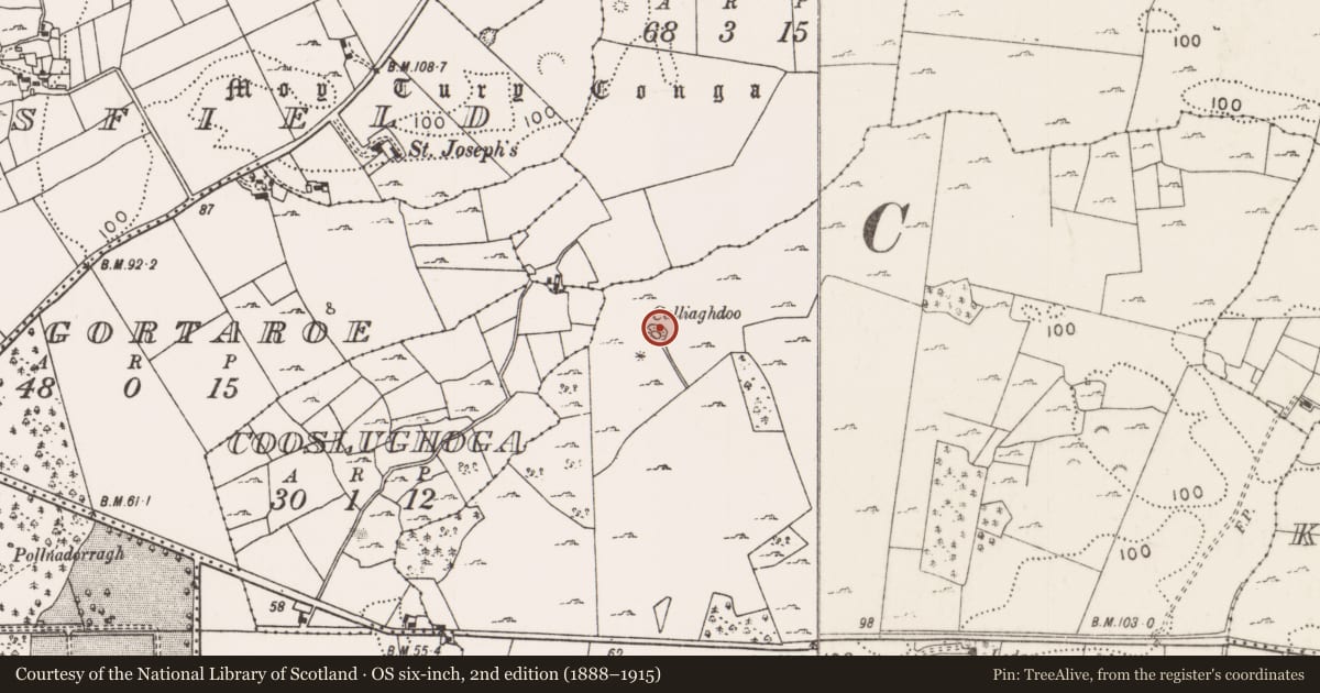 Ordnance Survey six-inch map, 2nd edition (1888–1915) covering the location of Cairn - unclassified, Lackafinna, County Mayo, with a pin at the register's coordinates