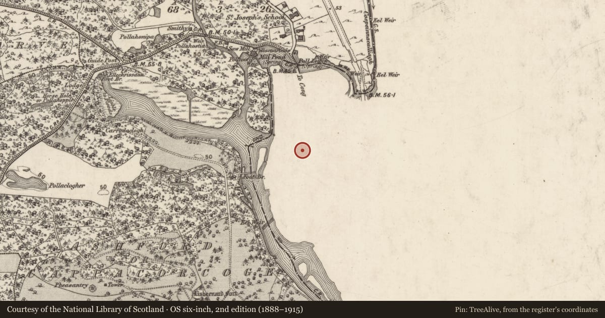 Ordnance Survey six-inch map, 2nd edition (1888–1915) covering the location of Historic town, Cong North, Cong South, County Mayo, with a pin at the register's coordinates