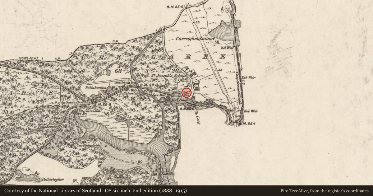 Ordnance Survey six-inch map, 2nd edition (1888–1915) covering the location of Ford, Cong North, County Mayo, with a pin at the register's coordinates