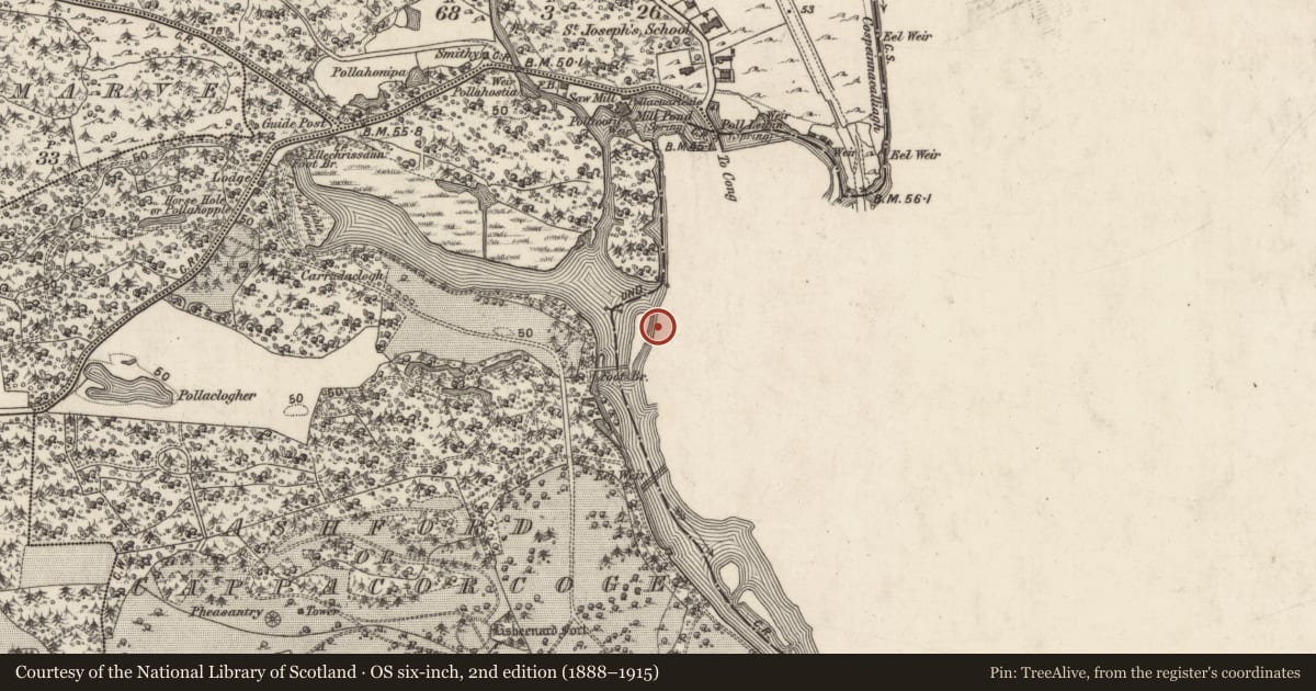 Ordnance Survey six-inch map, 2nd edition (1888–1915) covering the location of Castle - unclassified, Cong South, County Mayo, with a pin at the register's coordinates