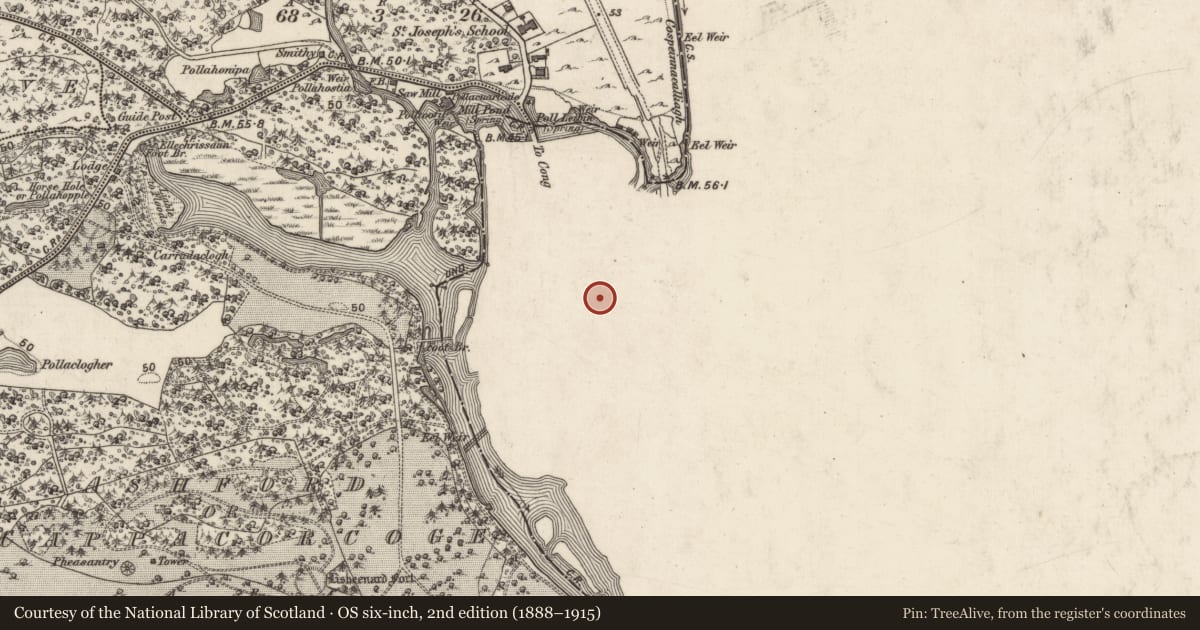 Ordnance Survey six-inch map, 2nd edition (1888–1915) covering the location of Bullaun stone, Cong South, County Mayo, with a pin at the register's coordinates