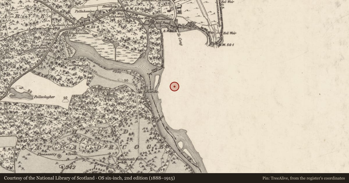 Ordnance Survey six-inch map, 2nd edition (1888–1915) covering the location of Inscribed stone, Cong South, County Mayo, with a pin at the register's coordinates