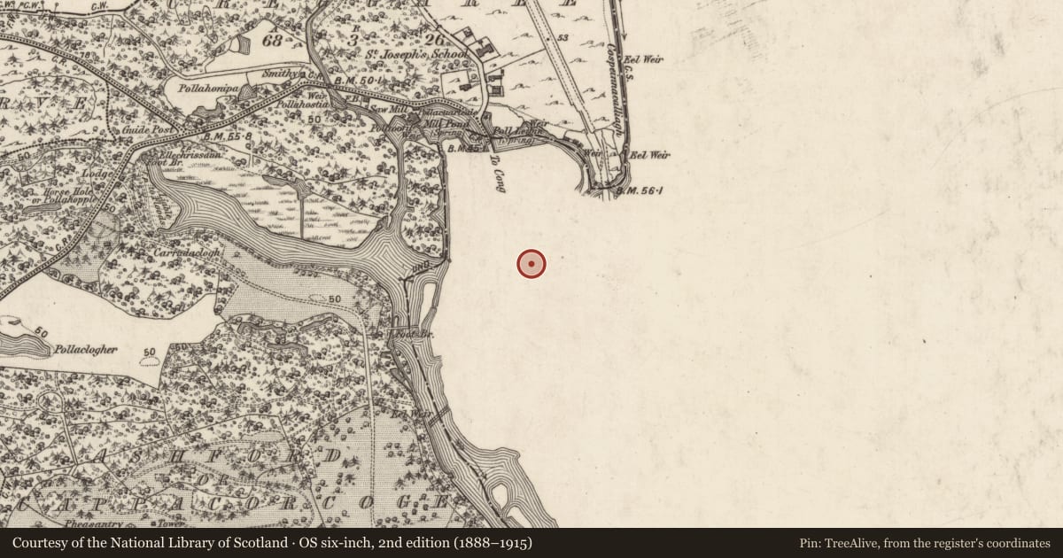 Ordnance Survey six-inch map, 2nd edition (1888–1915) covering the location of Cross, Cong North, County Mayo, with a pin at the register's coordinates