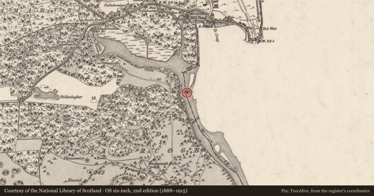 Ordnance Survey six-inch map, 2nd edition (1888–1915) covering the location of Building, Cong South, County Mayo, with a pin at the register's coordinates