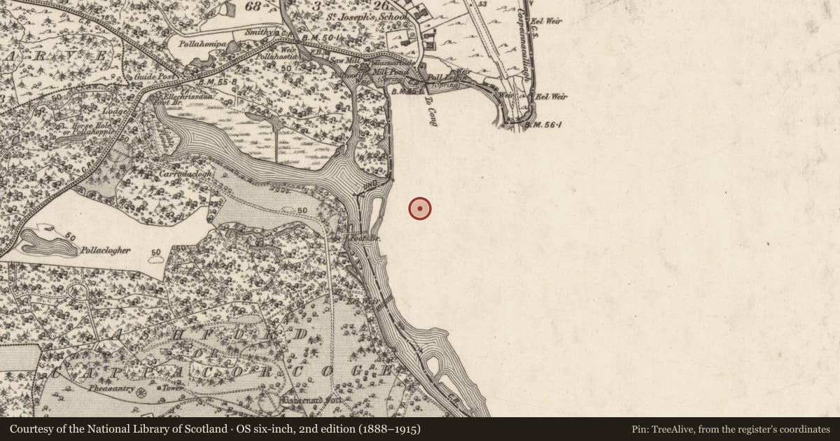 Ordnance Survey six-inch map, 2nd edition (1888–1915) covering the location of Graveyard, Cong South, County Mayo, with a pin at the register's coordinates