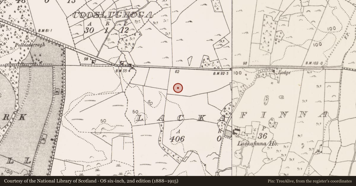 Ordnance Survey six-inch map, 2nd edition (1888–1915) covering the location of Souterrain, Lackafinna, County Mayo, with a pin at the register's coordinates