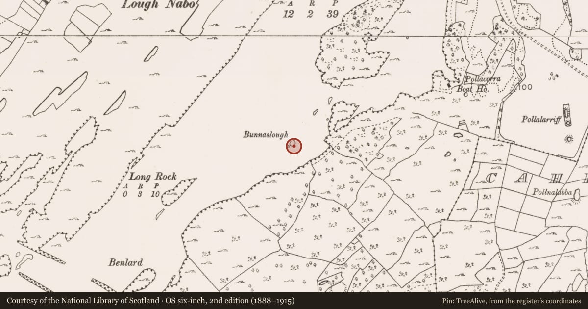 Ordnance Survey six-inch map, 2nd edition (1888–1915) covering the location of Crannog, Lough Mask, County Mayo, with a pin at the register's coordinates