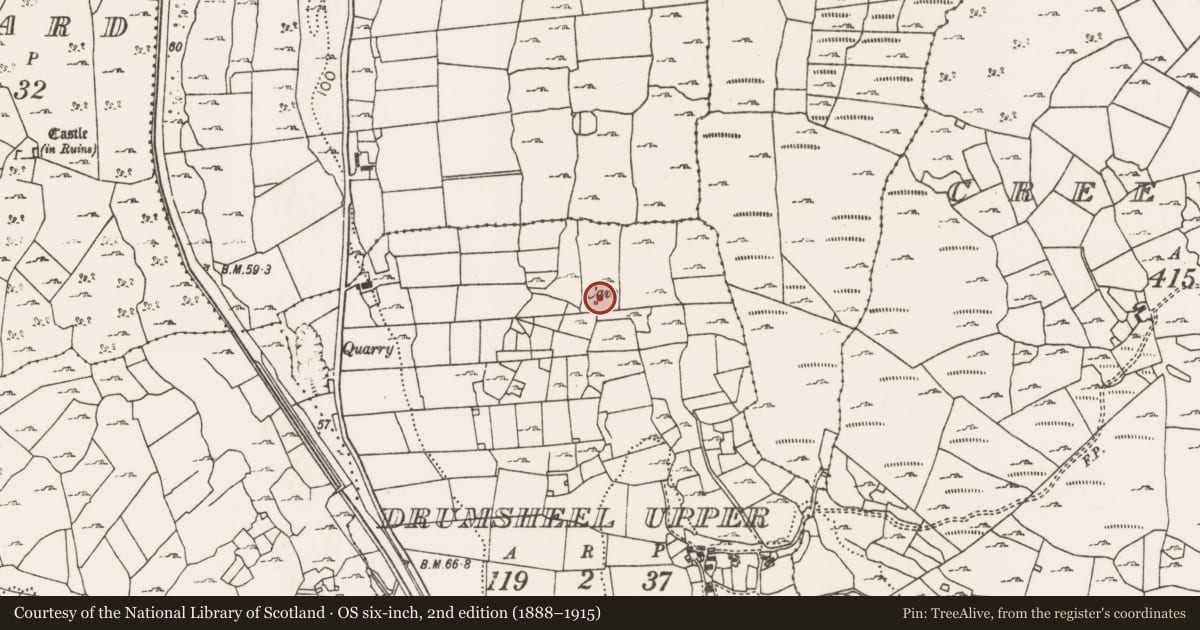 Ordnance Survey six-inch map, 2nd edition (1888–1915) covering the location of Megalithic structure, Drumsheel Upper, County Mayo, with a pin at the register's coordinates