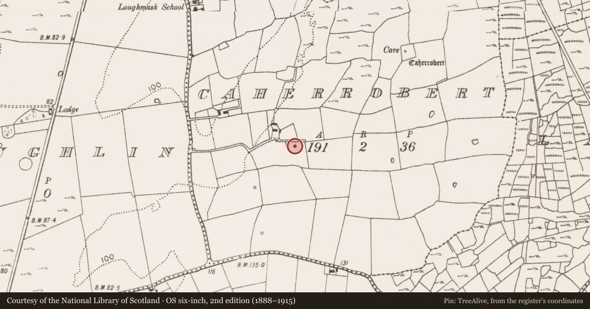 Ordnance Survey six-inch map, 2nd edition (1888–1915) covering the location of Anomalous stone group, Caherrobert, County Mayo, with a pin at the register's coordinates
