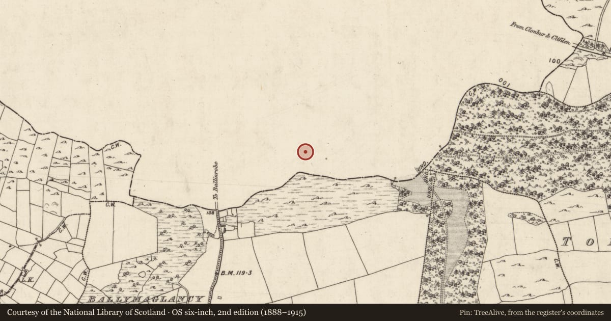 Ordnance Survey six-inch map, 2nd edition (1888–1915) covering the location of Cave, Gorteenroe, County Mayo, with a pin at the register's coordinates