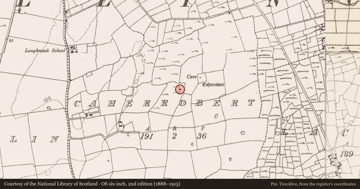 Ordnance Survey six-inch map, 2nd edition (1888–1915) covering the location of Structure, Caherrobert, County Mayo, with a pin at the register's coordinates