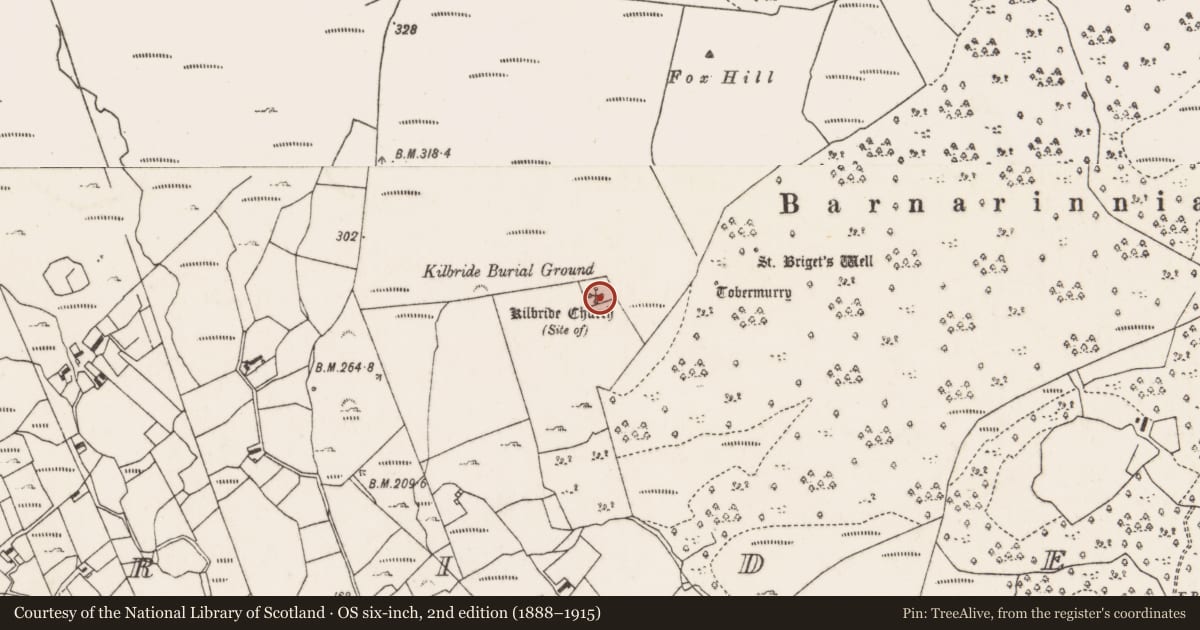Ordnance Survey six-inch map, 2nd edition (1888–1915) covering the location of Church, Cill Bhríde, County Mayo, with a pin at the register's coordinates
