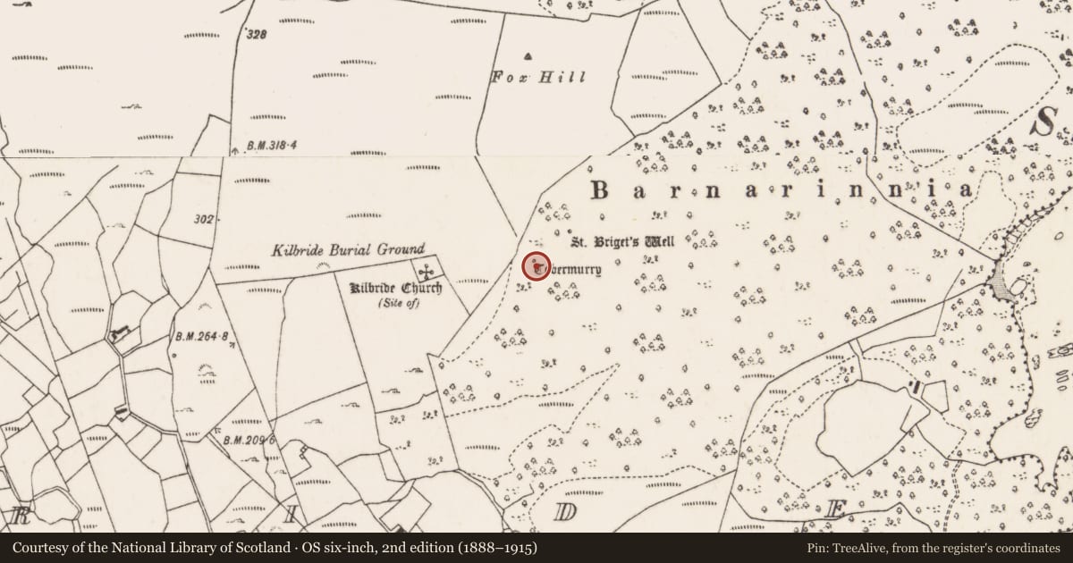 Ordnance Survey six-inch map, 2nd edition (1888–1915) covering the location of Ritual site - holy well, Cill Bhríde, County Mayo, with a pin at the register's coordinates