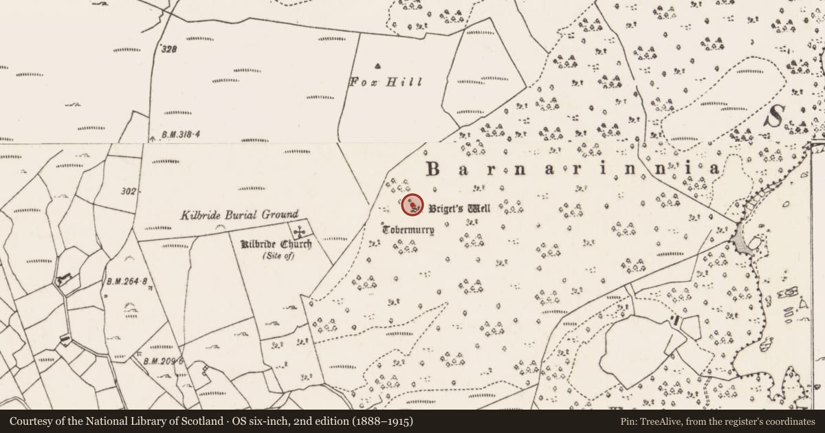 Ordnance Survey six-inch map, 2nd edition (1888–1915) covering the location of Ritual site - holy well, Cill Bhríde, County Mayo, with a pin at the register's coordinates