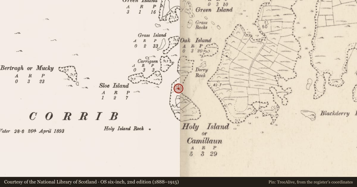 Ordnance Survey six-inch map, 2nd edition (1888–1915) covering the location of Megalithic structure, Holy Island Or Camillaun, County Mayo, with a pin at the register's coordinates