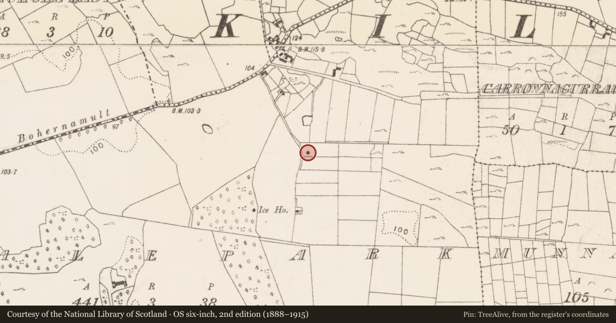 Ordnance Survey six-inch map, 2nd edition (1888–1915) covering the location of Enclosure, Nealepark, County Mayo, with a pin at the register's coordinates