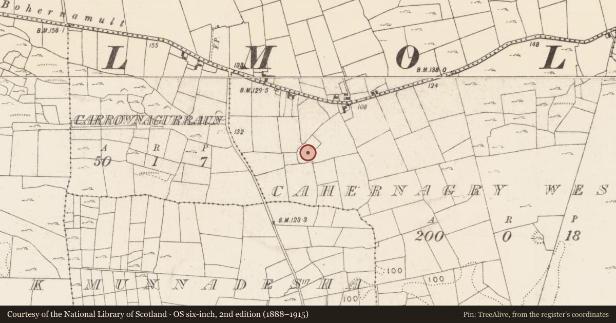 Ordnance Survey six-inch map, 2nd edition (1888–1915) covering the location of Ringfort - cashel, Cahernagry West, County Mayo, with a pin at the register's coordinates