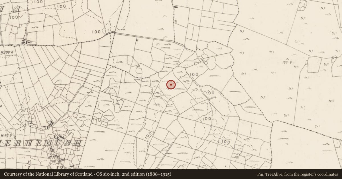 Ordnance Survey six-inch map, 2nd edition (1888–1915) covering the location of Enclosure, Cashlancran, County Mayo, with a pin at the register's coordinates