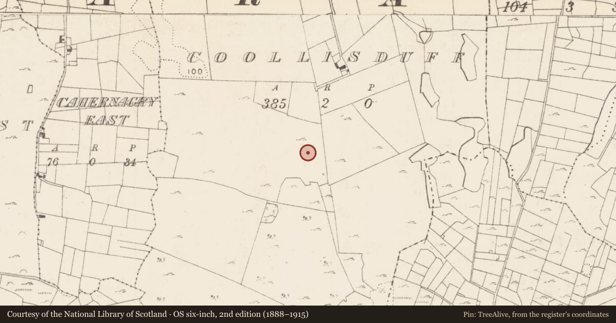 Ordnance Survey six-inch map, 2nd edition (1888–1915) covering the location of Field system, Coollisduff (Kilmaine By., Kilmolara Par.), County Mayo, with a pin at the register's coordinates
