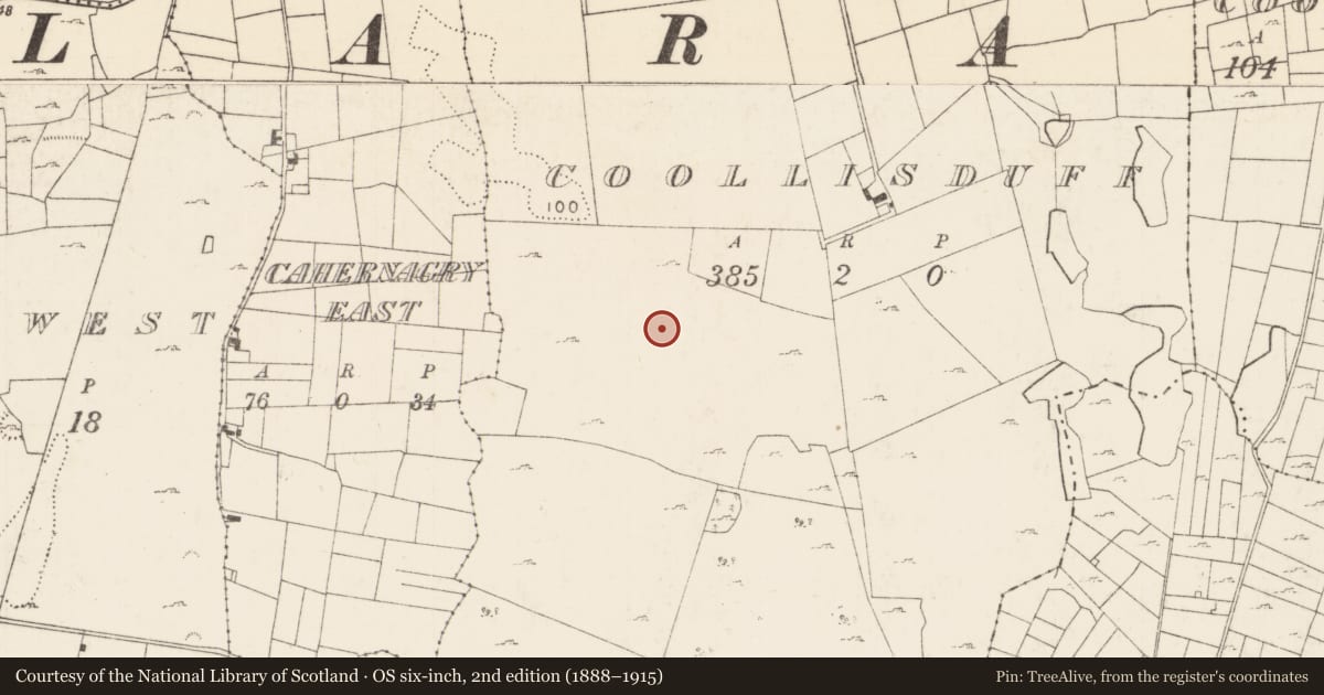 Ordnance Survey six-inch map, 2nd edition (1888–1915) covering the location of House - indeterminate date, Coollisduff (Kilmaine By., Kilmolara Par.), County Mayo, with a pin at the register's coordinates