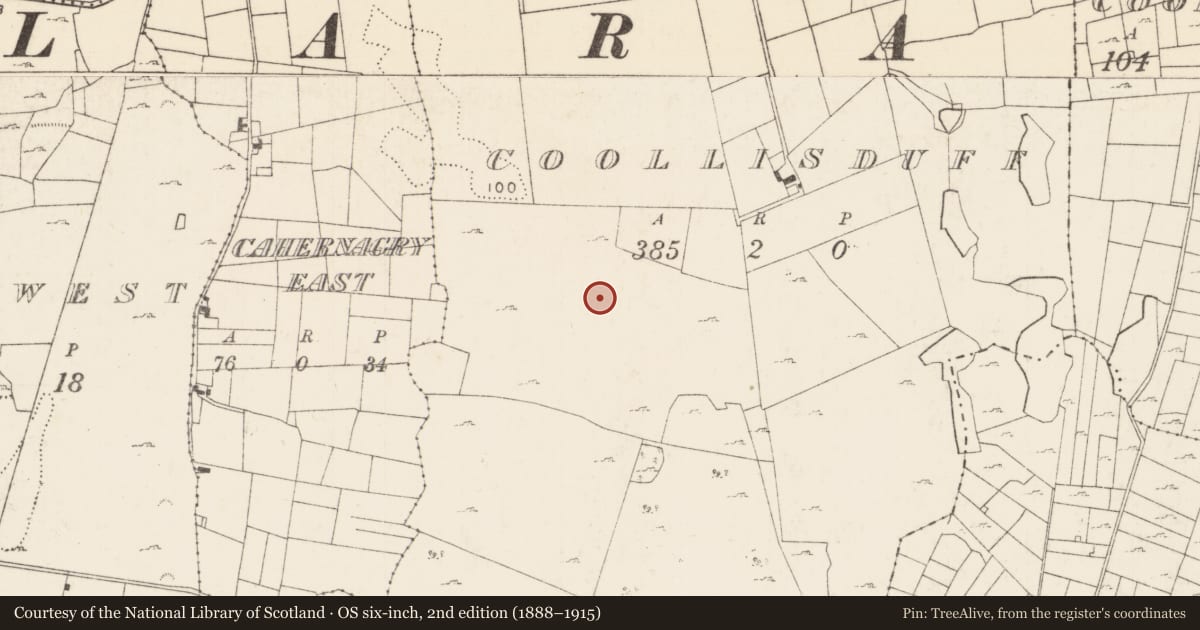 Ordnance Survey six-inch map, 2nd edition (1888–1915) covering the location of House - indeterminate date, Coollisduff (Kilmaine By., Kilmolara Par.), County Mayo, with a pin at the register's coordinates