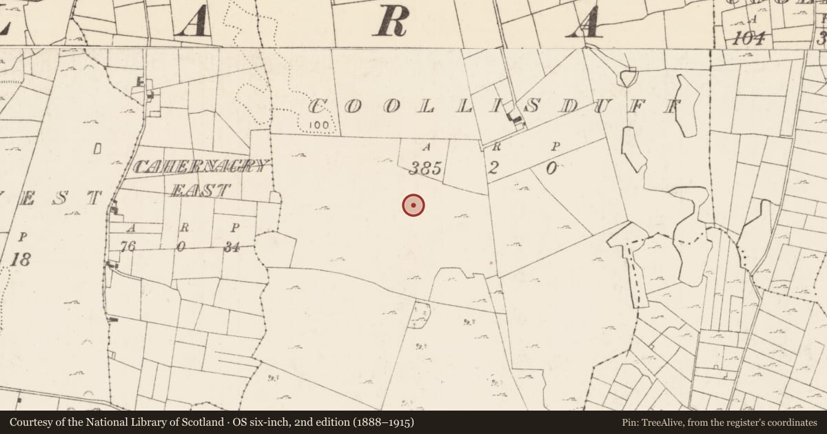 Ordnance Survey six-inch map, 2nd edition (1888–1915) covering the location of Cairn - unclassified, Coollisduff (Kilmaine By., Kilmolara Par.), County Mayo, with a pin at the register's coordinates