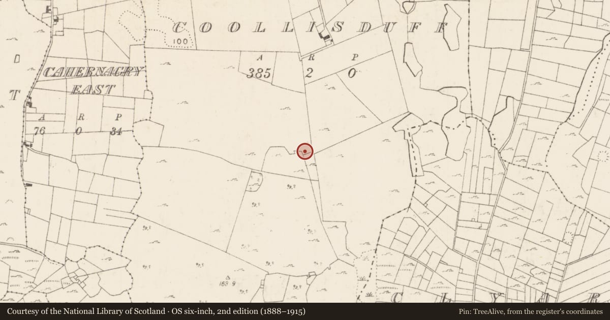 Ordnance Survey six-inch map, 2nd edition (1888–1915) covering the location of Megalithic structure, Coollisduff (Kilmaine By., Kilmolara Par.), County Mayo, with a pin at the register's coordinates