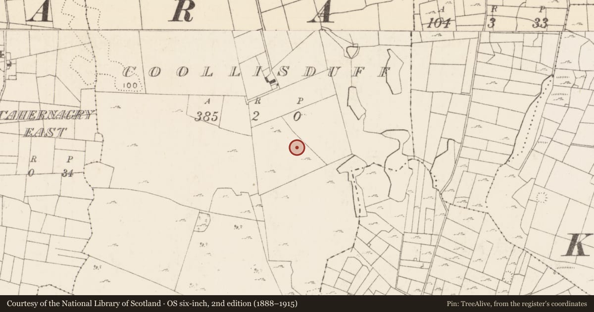Ordnance Survey six-inch map, 2nd edition (1888–1915) covering the location of Enclosure, Coollisduff (Kilmaine By., Kilmolara Par.), County Mayo, with a pin at the register's coordinates