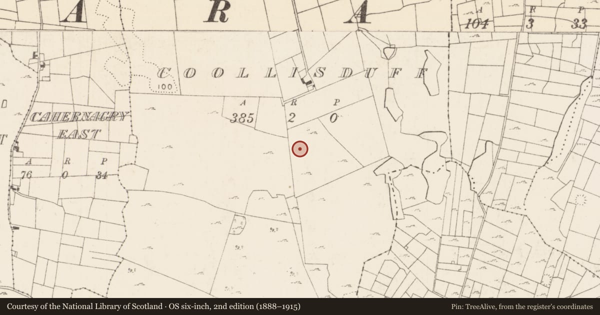 Ordnance Survey six-inch map, 2nd edition (1888–1915) covering the location of Mound, Coollisduff (Kilmaine By., Kilmolara Par.), County Mayo, with a pin at the register's coordinates