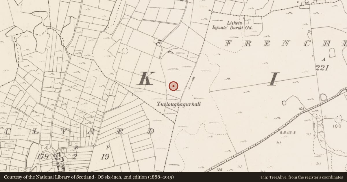 Ordnance Survey six-inch map, 2nd edition (1888–1915) covering the location of Crannog, Ballymartin, County Mayo, with a pin at the register's coordinates