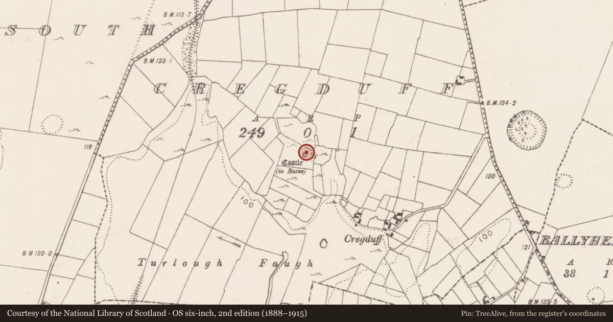 Ordnance Survey six-inch map, 2nd edition (1888–1915) covering the location of Castle - tower house, Cregduff (Kilmaine By., Kilmainemore Par.), County Mayo, with a pin at the register's coordinates