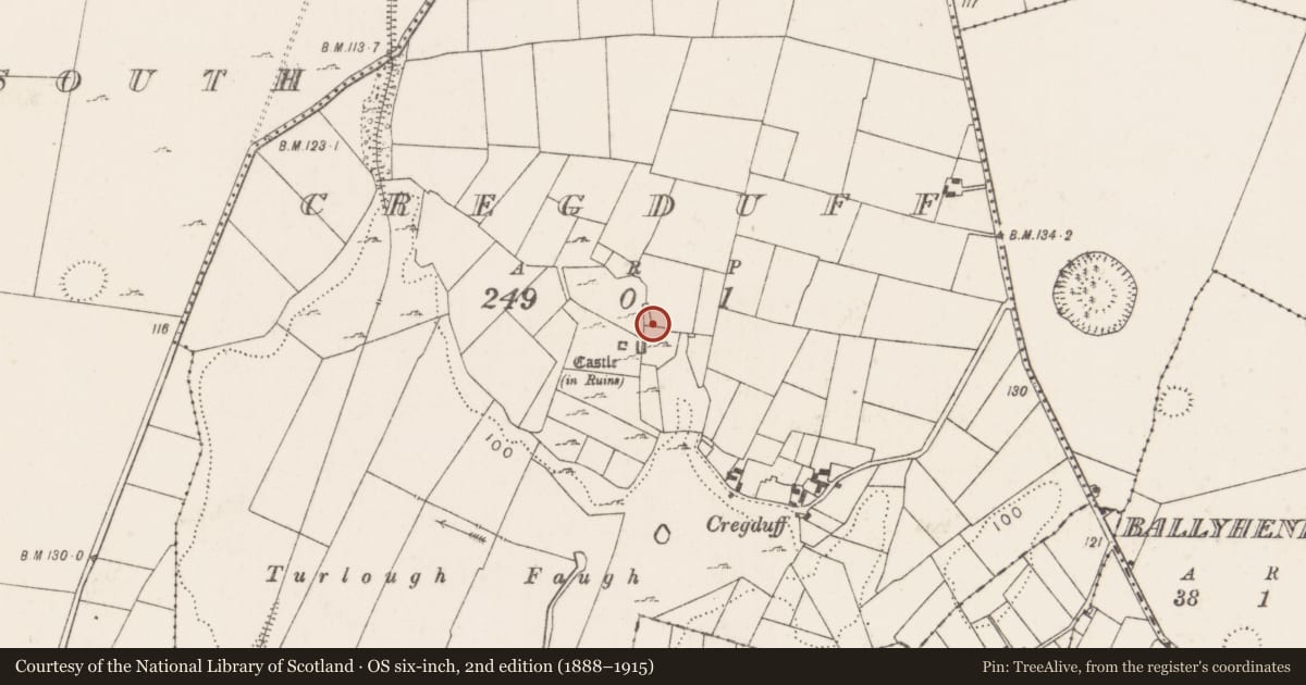 Ordnance Survey six-inch map, 2nd edition (1888–1915) covering the location of Earthwork, Cregduff (Kilmaine By., Kilmainemore Par.), County Mayo, with a pin at the register's coordinates