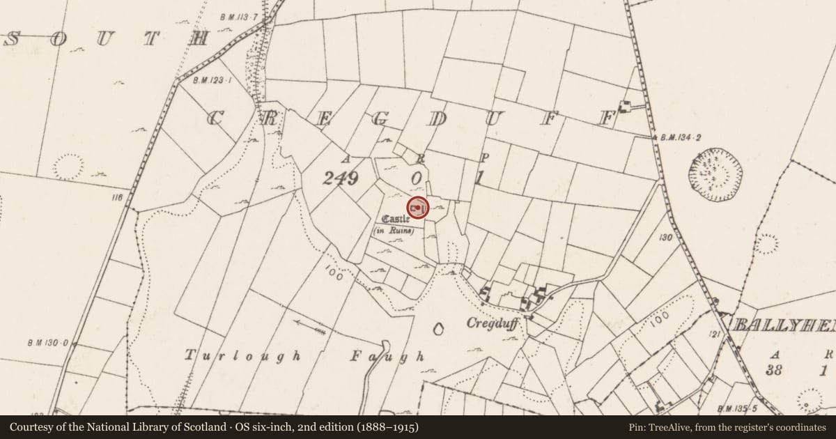 Ordnance Survey six-inch map, 2nd edition (1888–1915) covering the location of Bawn, Cregduff (Kilmaine By., Kilmainemore Par.), County Mayo, with a pin at the register's coordinates