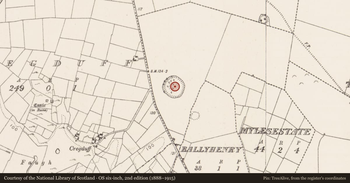 Ordnance Survey six-inch map, 2nd edition (1888–1915) covering the location of Ringfort - unclassified, Turin, County Mayo, with a pin at the register's coordinates